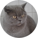 Agnès H. profielfoto